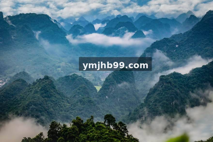 YY体育 赛季中段盘点：六类最容易被忽视的轮换阵容价值榜